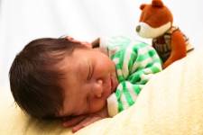 Nina JULVECOURT - NINA JULVECOURT